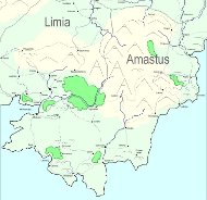 Amastus